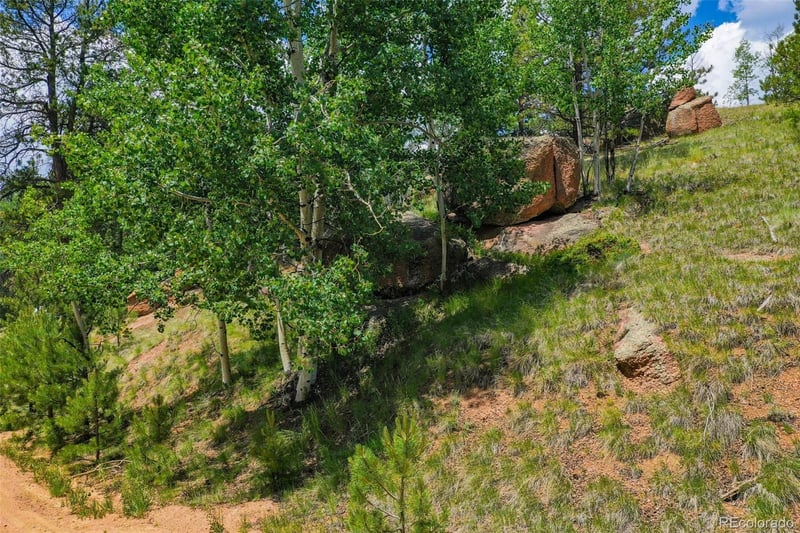 525 Spring Valley Ln, Florissant, CO 80816