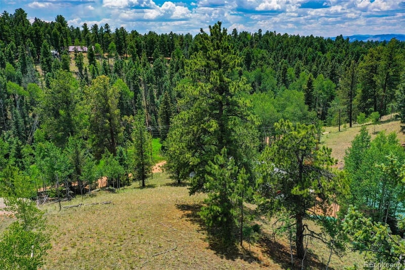 525 Spring Valley Ln, Florissant, CO 80816