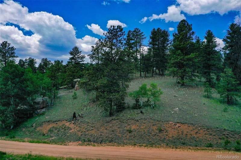 525 Spring Valley Ln, Florissant, CO 80816