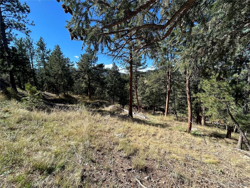 Pine Rd, Evergreen, CO 80439
