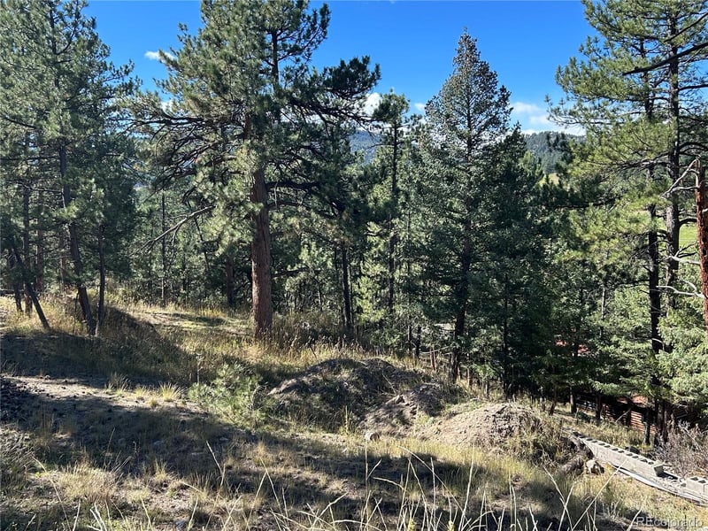 0 Pine Rd, Evergreen, CO 80439