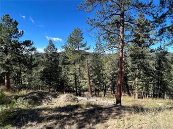 Pine Rd, Evergreen, CO 80439
