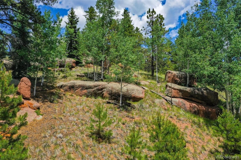 549 Spring Valley Ln, Florissant, CO 80816