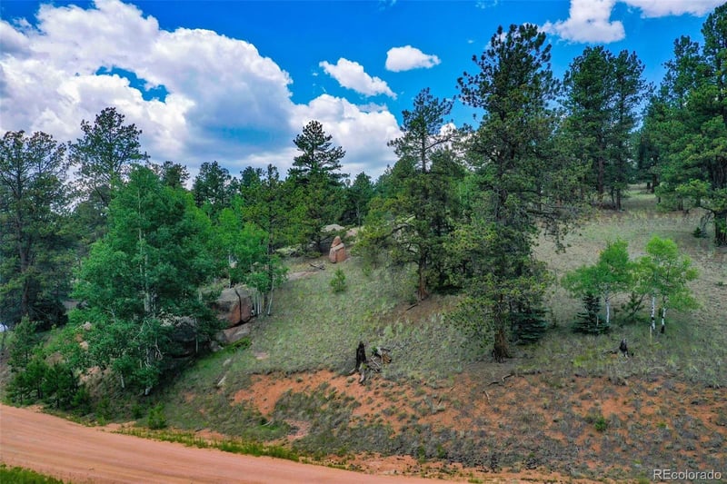 549 Spring Valley Ln, Florissant, CO 80816