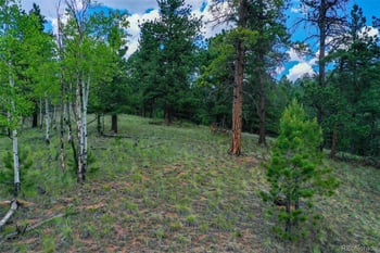 549 Spring Valley Ln, Florissant, CO 80816