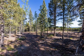 30894 Forest Shadow Trl, Conifer, CO 80433