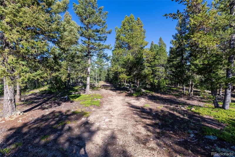 30894 Forest Shadow Trl, Conifer, CO 80433
