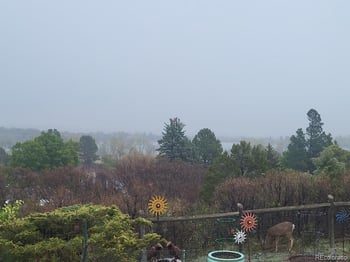 5910 Olympus Ln, Colorado, CO 81019