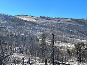 Lot 1039 Forbes Park Ranch, Fort Garland, CO 81133