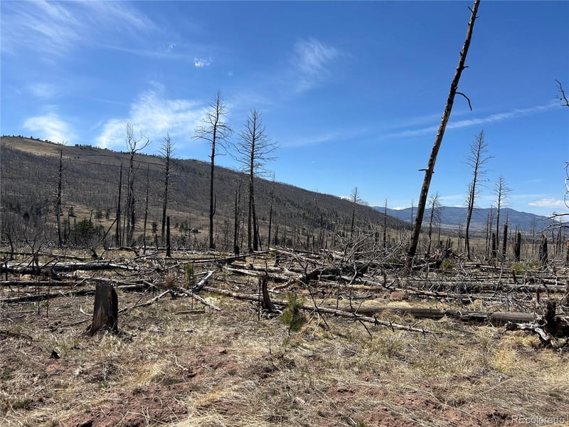 Lot 1039 Forbes Park Ranch Lot 1039, Fort Garland, CO 81133