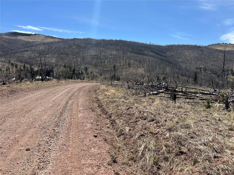 Lot 1039 Forbes Park Ranch Lot 1039, Fort Garland, CO 81133