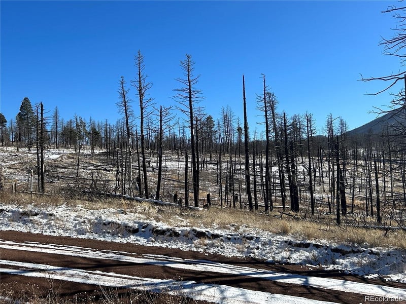 Lot 1039 Forbes Park Ranch Lot 1039, Fort Garland, CO 81133