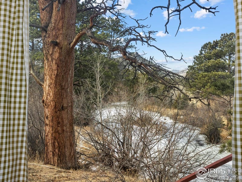1475 Lower Broadview Rd, Estes Park, CO 80517