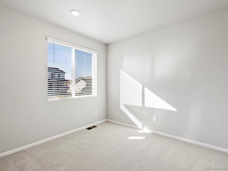 1625 Yampa River Dr, Windsor, CO 80550