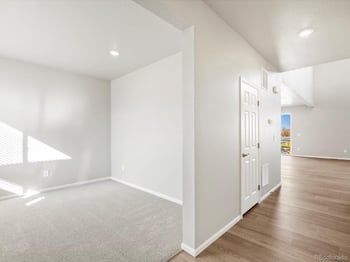 1625 Yampa River Dr, Windsor, CO 80550