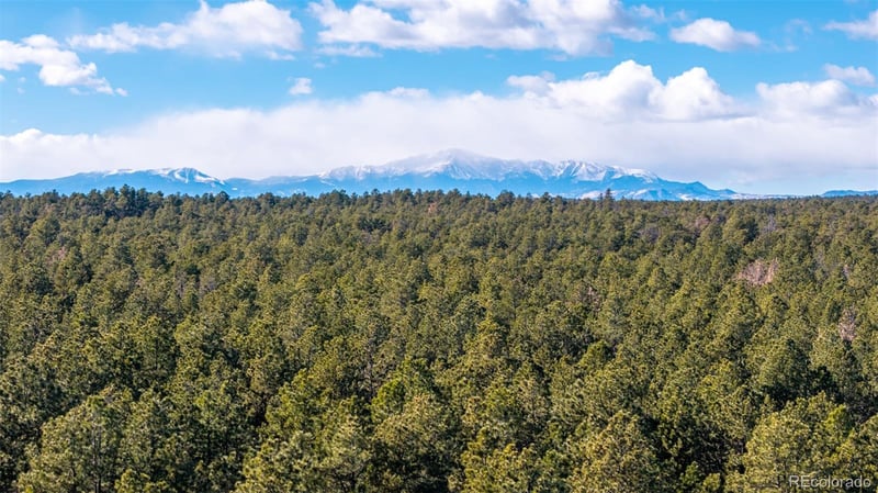 10775 Hardy Rd, Colorado Springs, CO 80908