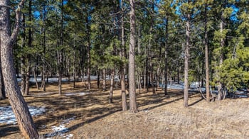10775 Hardy Rd, Colorado Springs, CO 80908