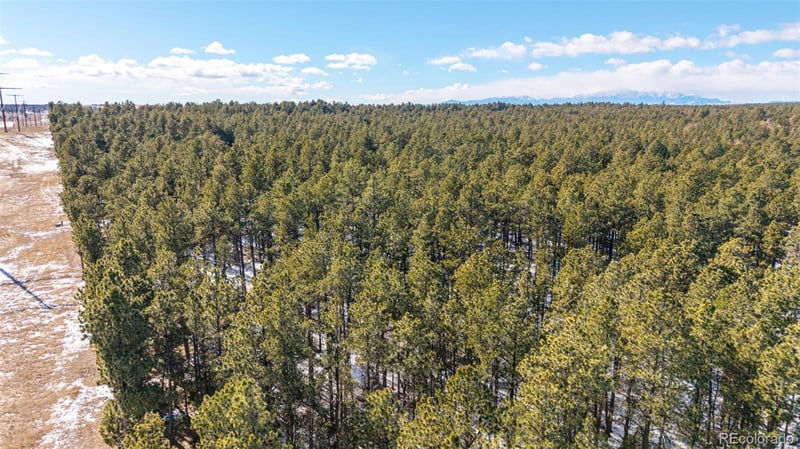 10775 Hardy Rd, Colorado Springs, CO 80908