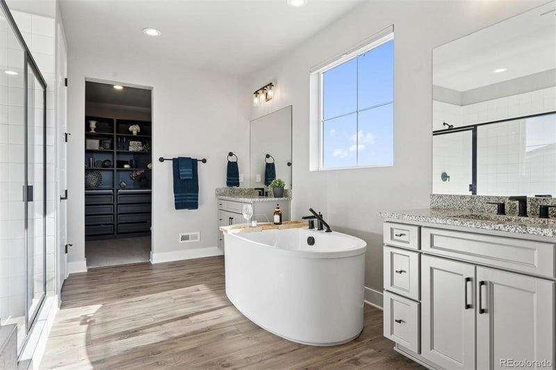 3461 Vamoose Ct, Castle Rock, CO 80108