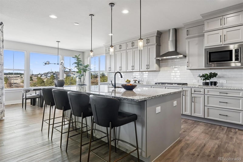 3461 Vamoose Ct, Castle Rock, CO 80108