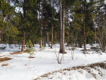 0 Long Trail Rd, Black Hawk, CO 80422