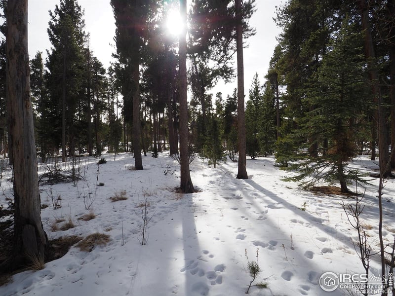 Long Trail Rd, Black Hawk, CO 80422