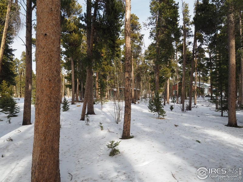 Long Trail Rd, Black Hawk, CO 80422