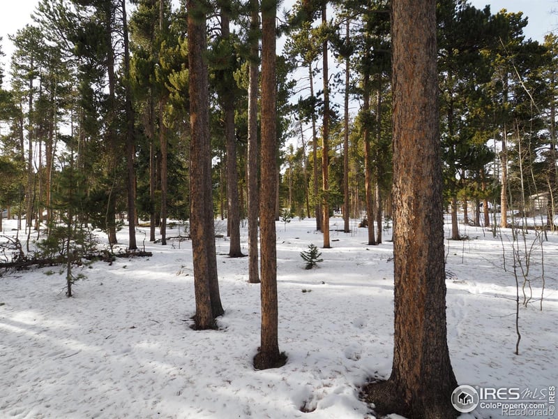 Long Trail Rd, Black Hawk, CO 80422