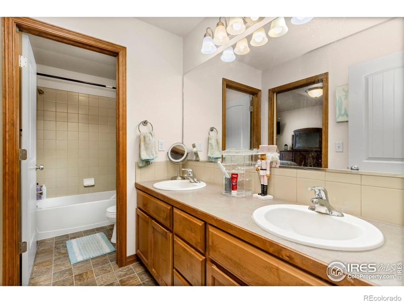 4479 Bragg Ln, Wellington, CO 80549