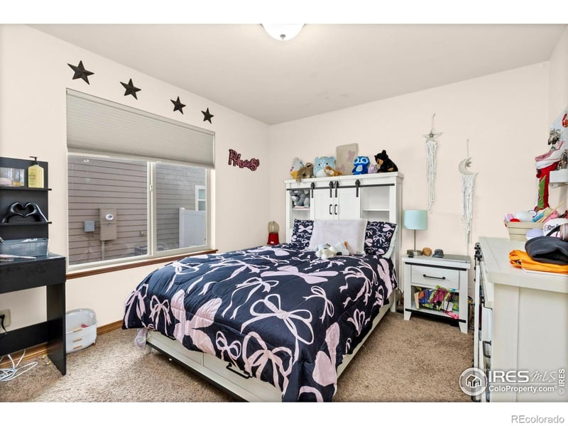 4479 Bragg Ln, Wellington, CO 80549