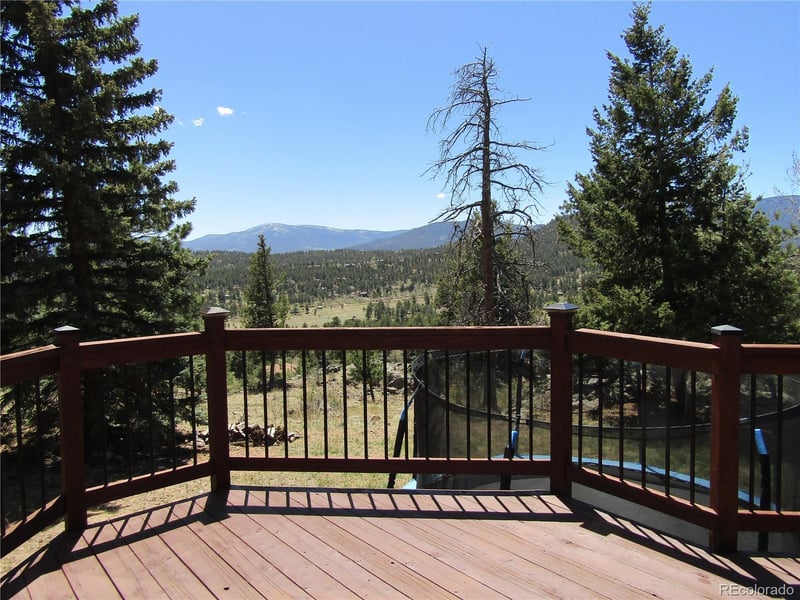 429 Overlook Dr, Bailey, CO 80421