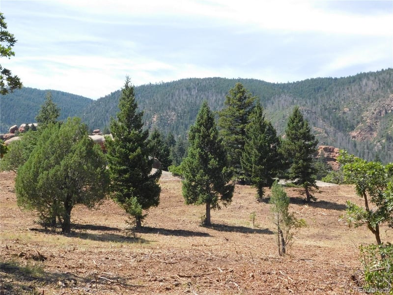 6382 Country Club Dr, Larkspur, CO 80118