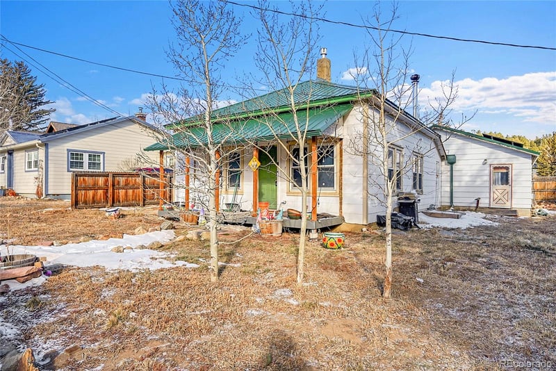 147 1st St, Nederland, CO 80466