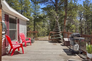 2450 Pathfinder Rd, Florissant, CO 80816