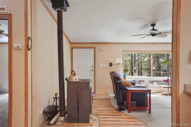 2450 Pathfinder Rd, Florissant, CO 80816