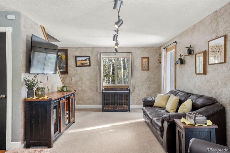 4076 Omer Ln, Divide, CO 80814