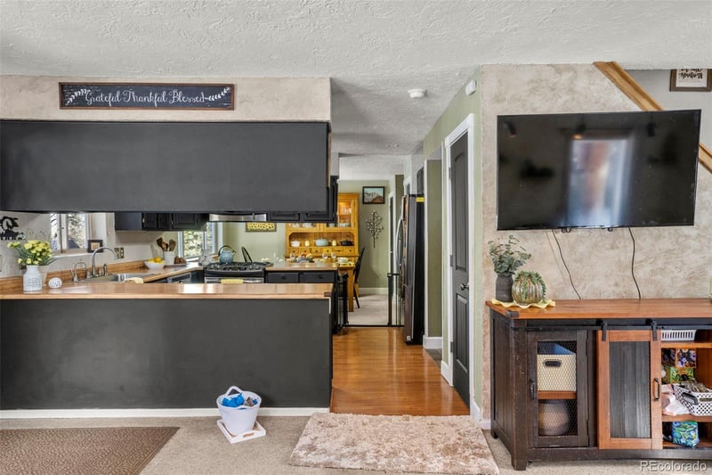 4076 Omer Ln, Divide, CO 80814