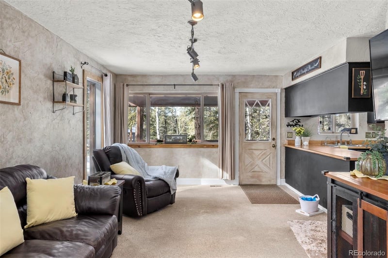 4076 Omer Ln, Divide, CO 80814