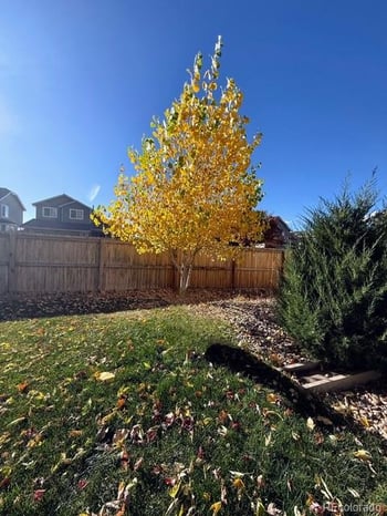 19590 Glendale Ln, Parker, CO 80134