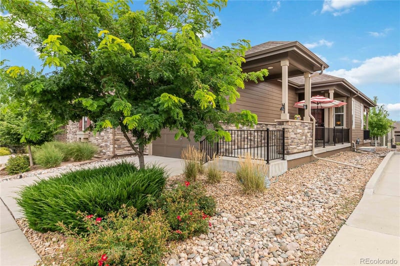 3584 New Haven Cir, Castle Rock, CO 80109
