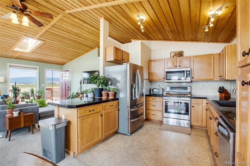 119 Bristlecone Ln, Fairplay, CO 80440