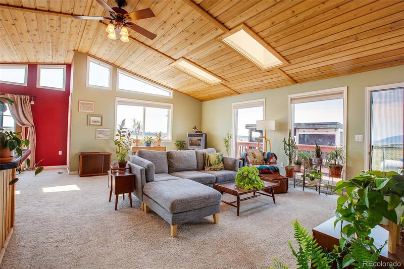 119 Bristlecone Ln, Fairplay, CO 80440