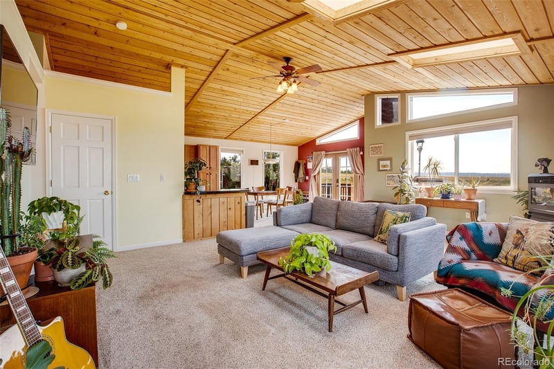 119 Bristlecone Ln, Fairplay, CO 80440