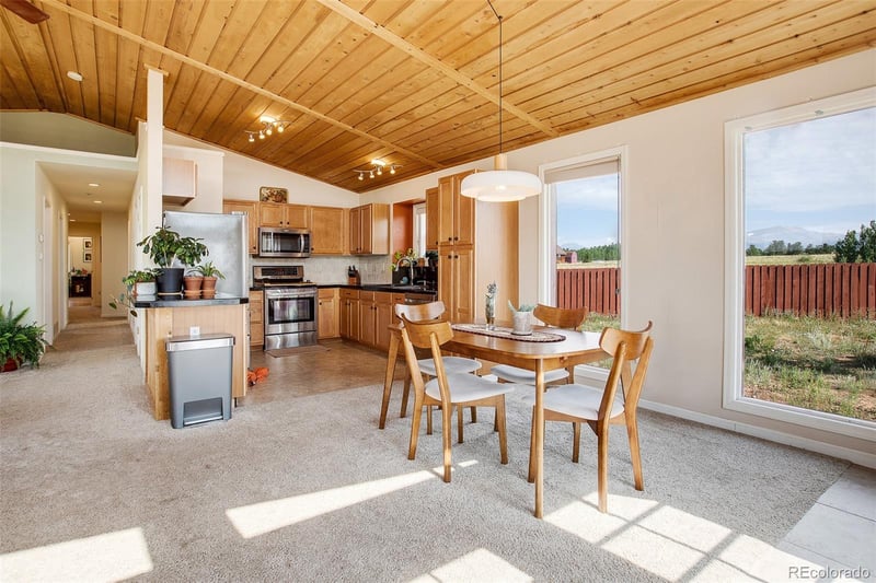 119 Bristlecone Ln, Fairplay, CO 80440