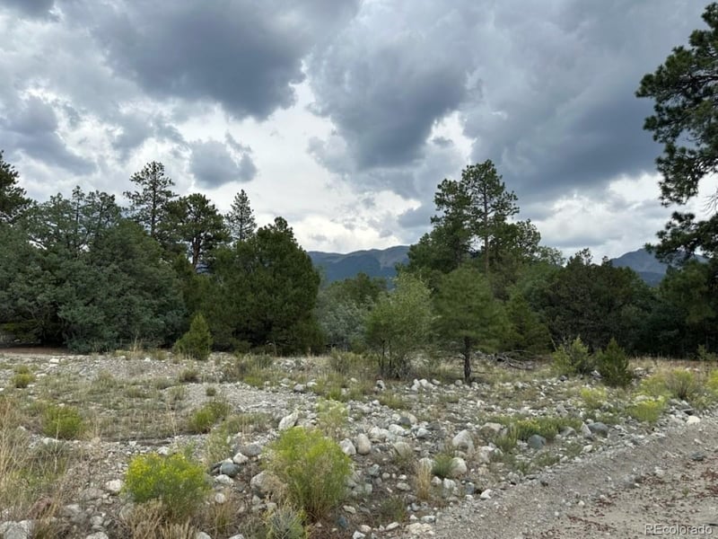 22 Cub Creek Rd Lot 26, Mosca, CO 81146
