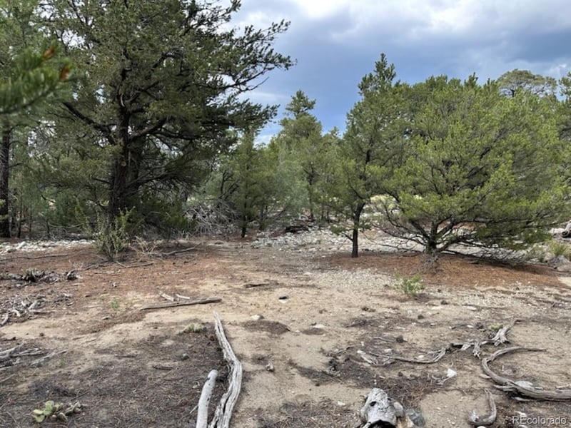 22 Cub Creek Rd Lot 26, Mosca, CO 81146