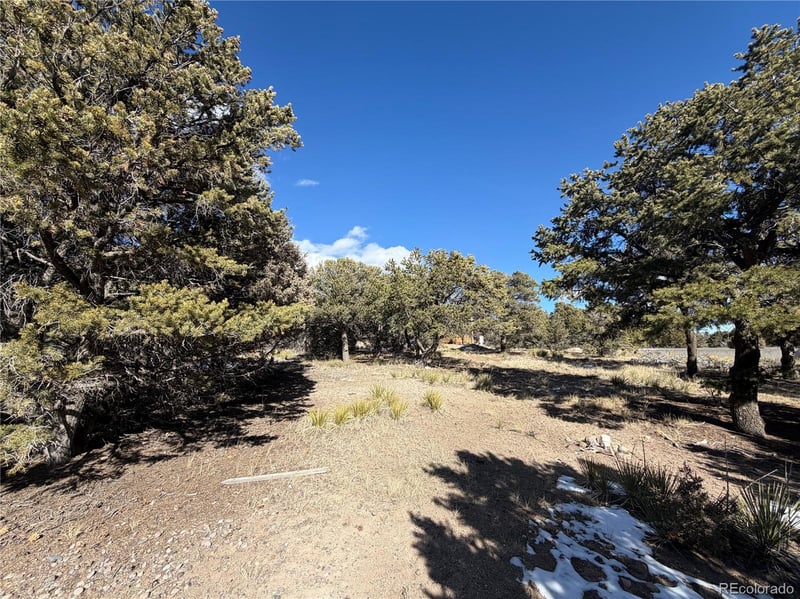 390 Cameron Pass Rd Lot 1-2, South Fork, CO 81154