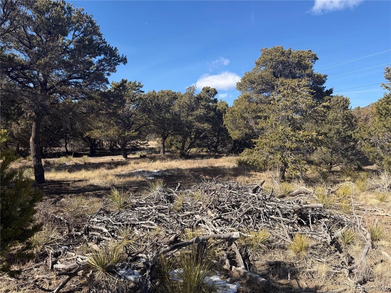 390 Cameron Pass Rd Lot 1-2, South Fork, CO 81154