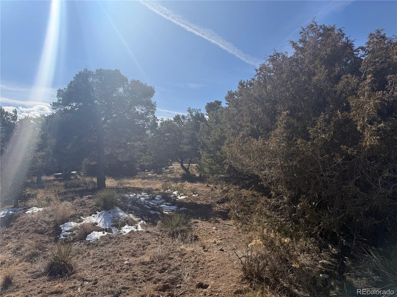 390 Cameron Pass Rd, South Fork, CO 81154