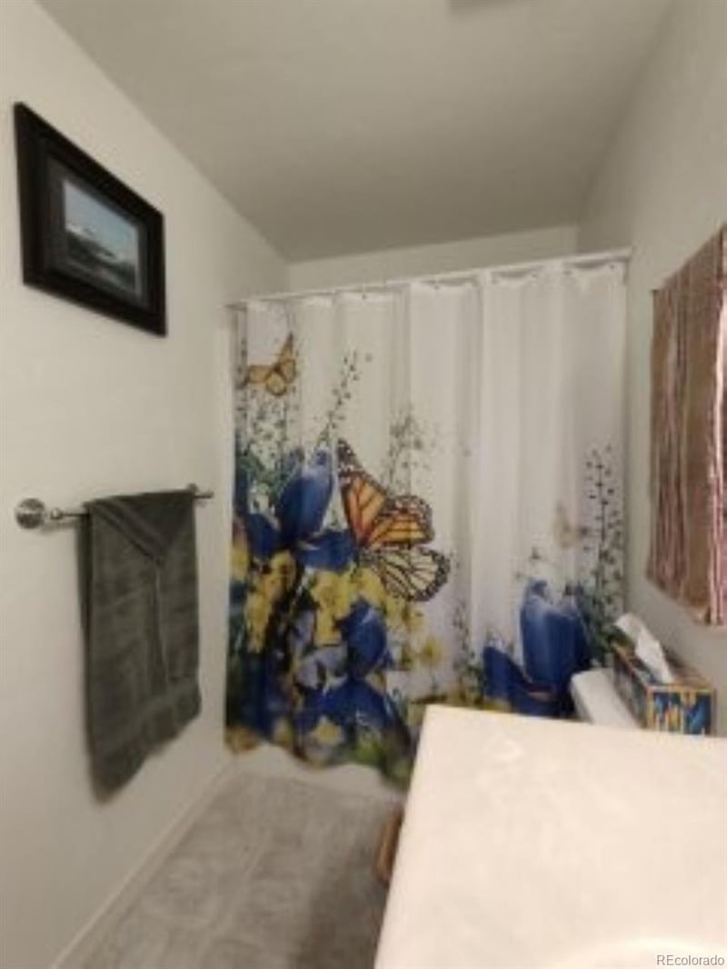 840 Cloud Cap Ave, Pagosa Springs, CO 81147